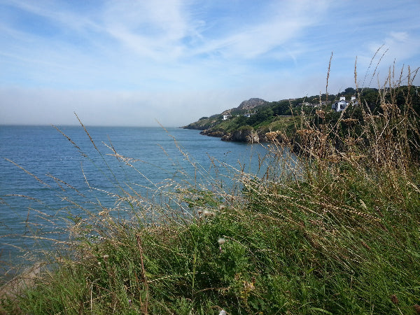 Hike Along the Irish Coast Stock Photography