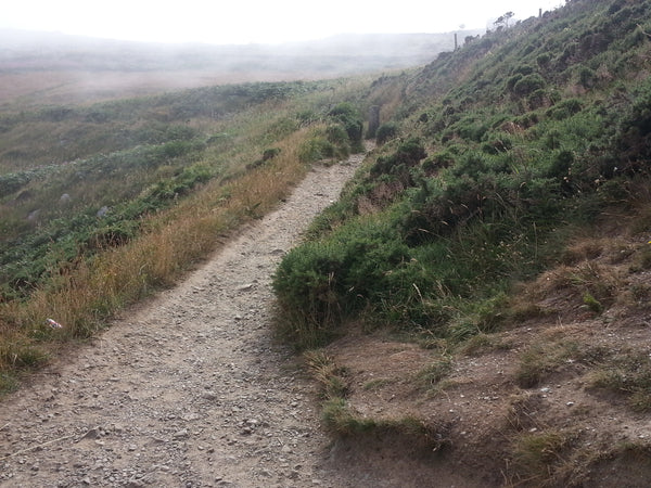 Foggy Day Hike Along an Irish Mountain Trail Stock Photography